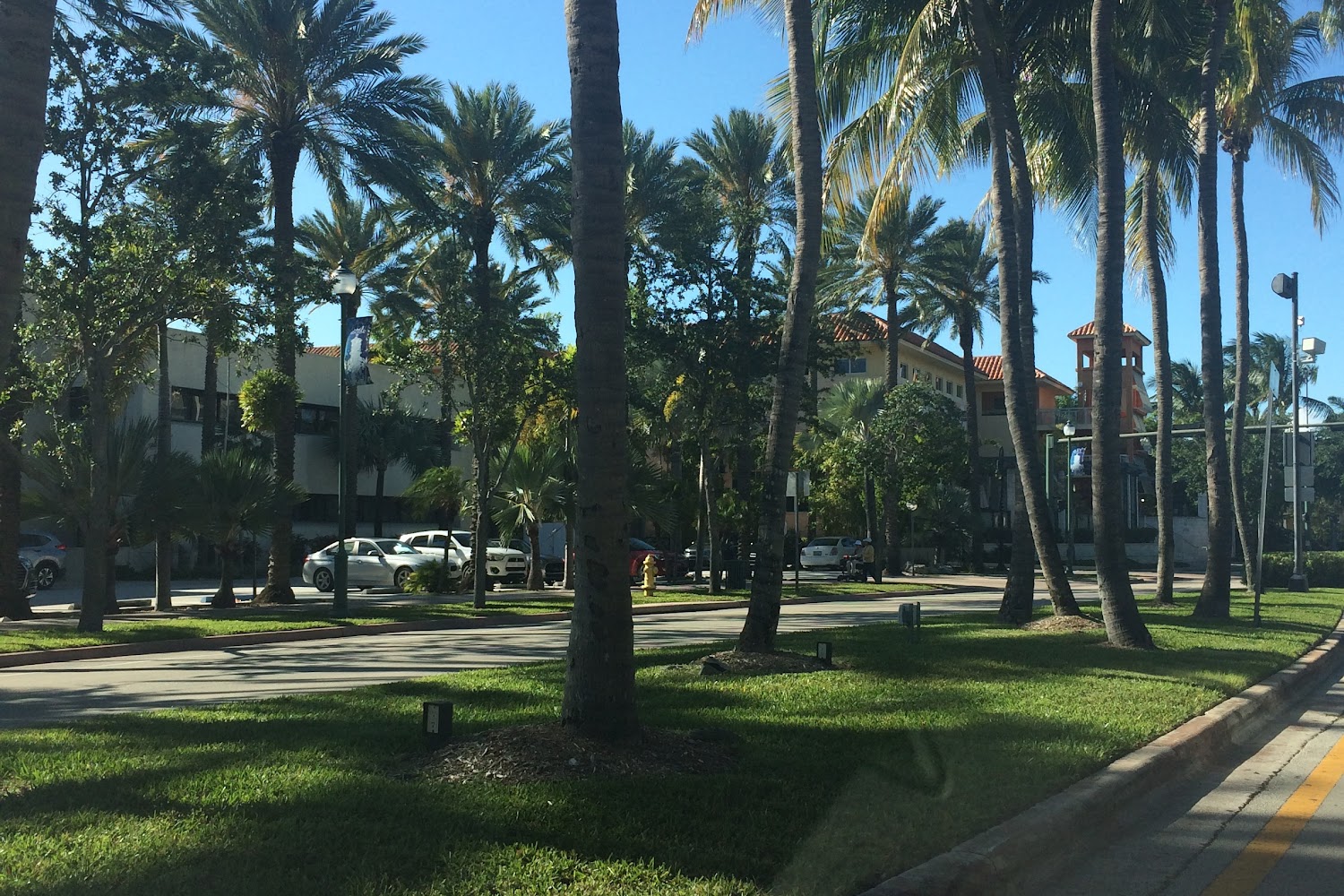 Island Veterinary Hospital