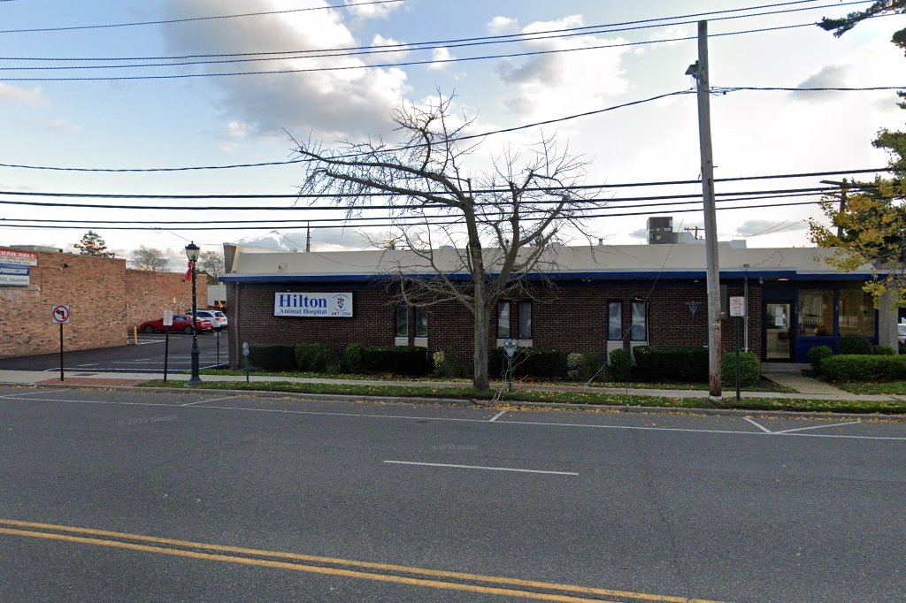 Hilton Hospital for Animals