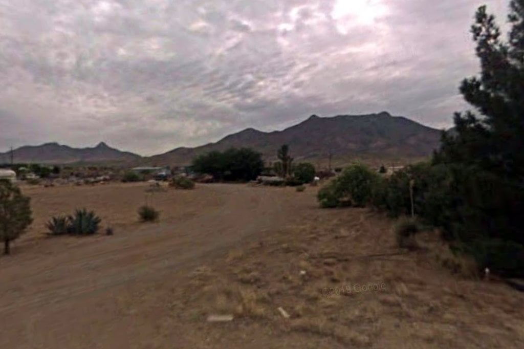 Southern New Mexico Shepherds