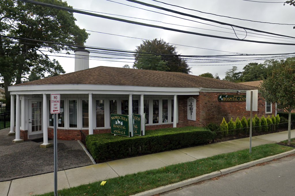 Moriches Hospital For Animals