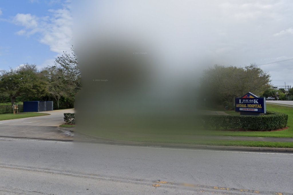 Live Oak Animal Hospital
