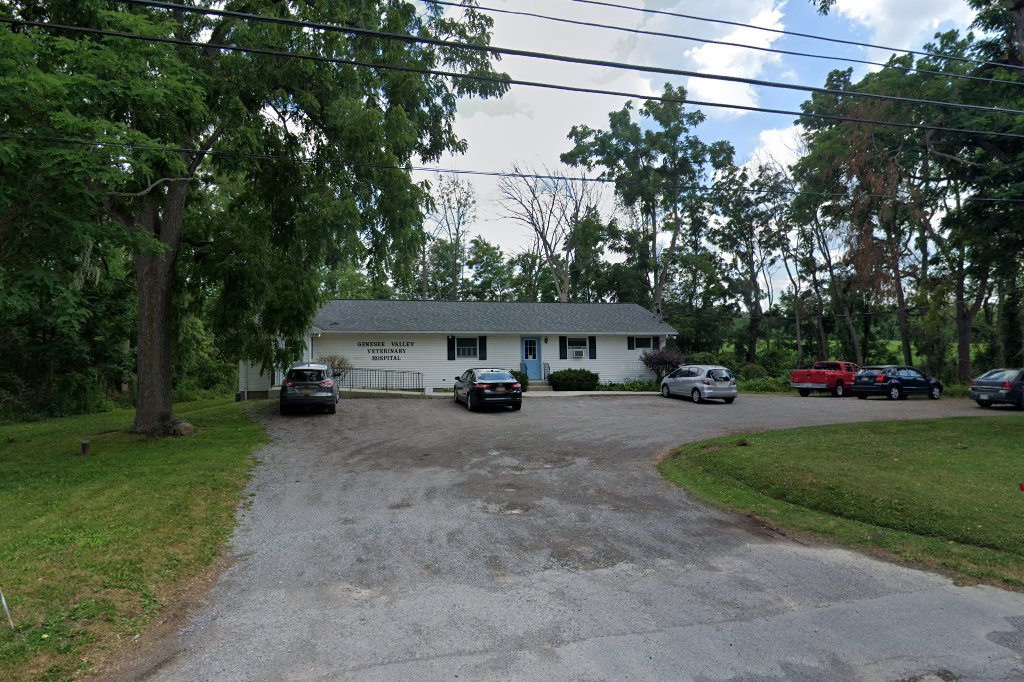 Genesee Valley Veterinary Hospital