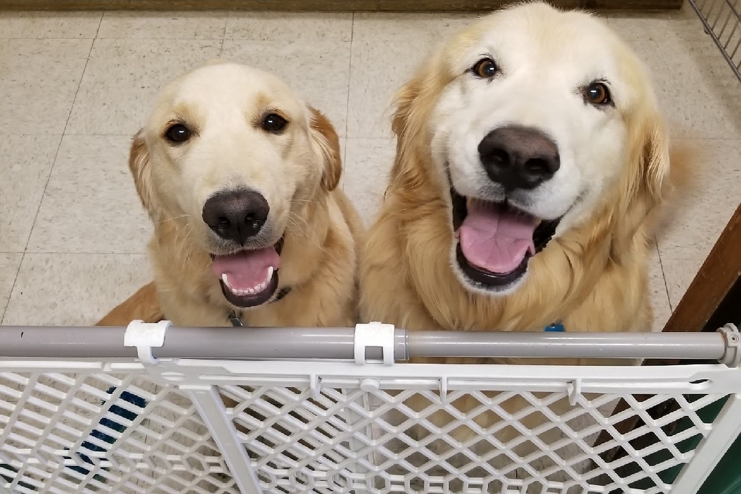 Magic Valley Veterinary Hospital