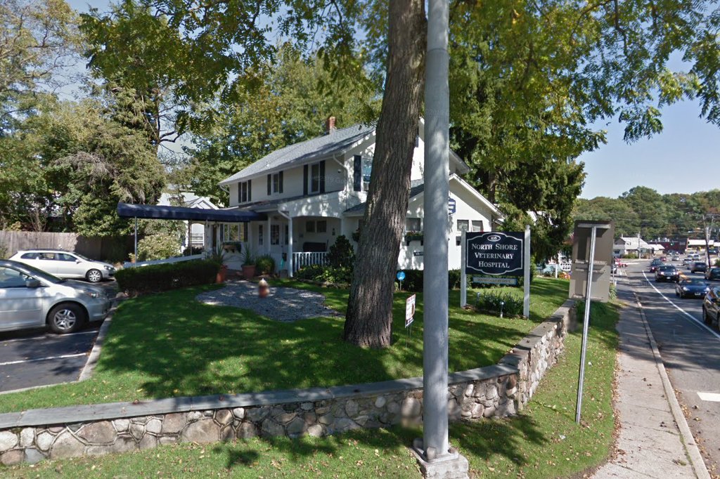 North Shore Veterinary Hospital