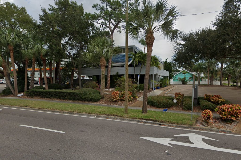 The Cat Hospital On Park Street