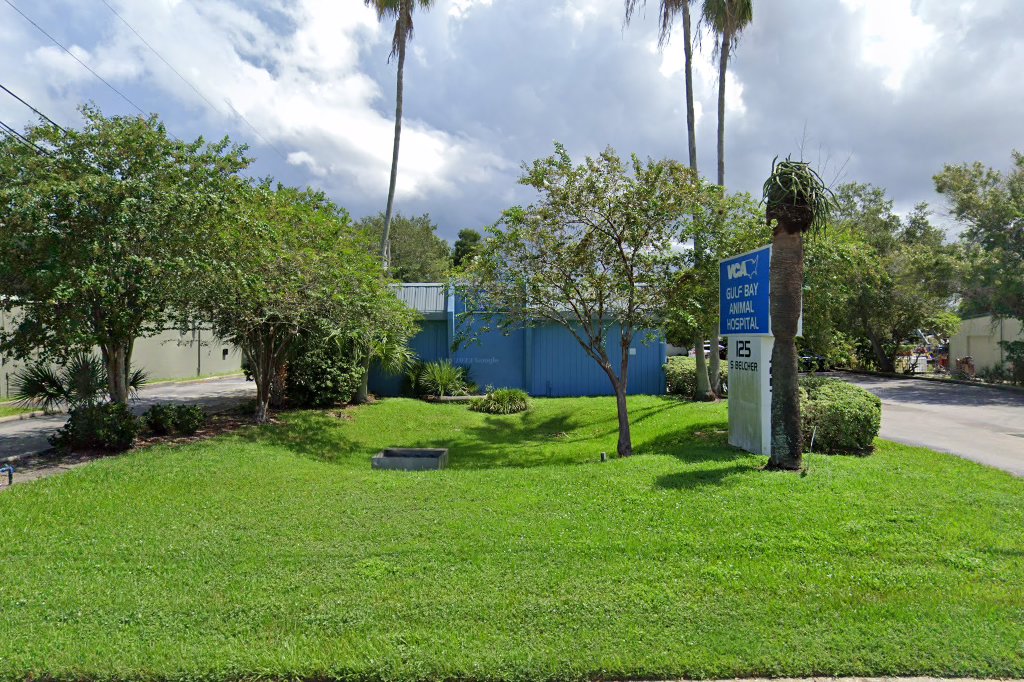 VCA Gulf Bay Animal Hospital