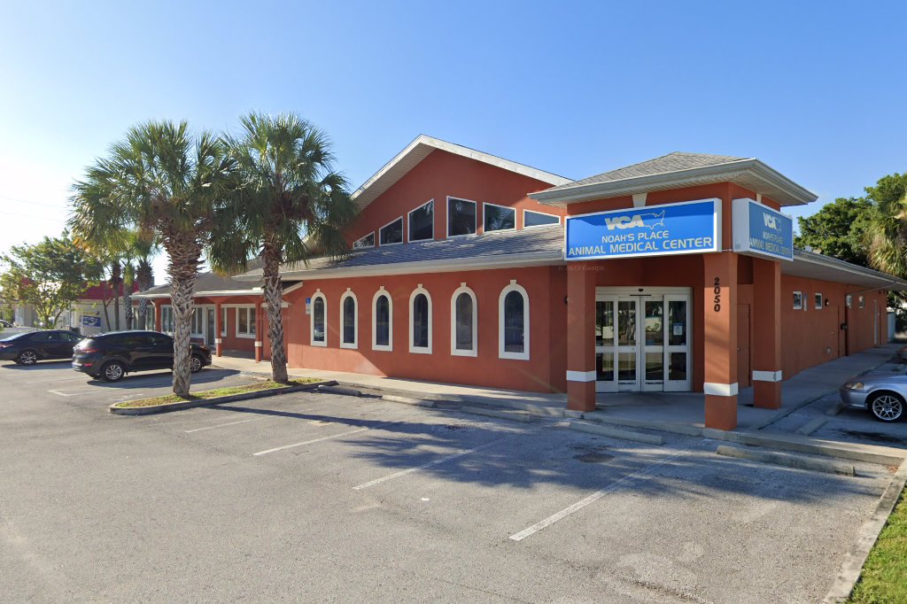 Noah's Animal Hospital and Kennel