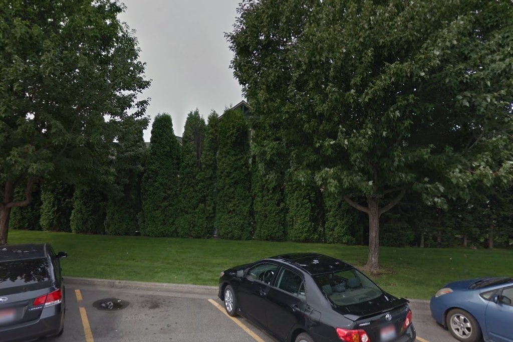 Lakewood Animal Hospital