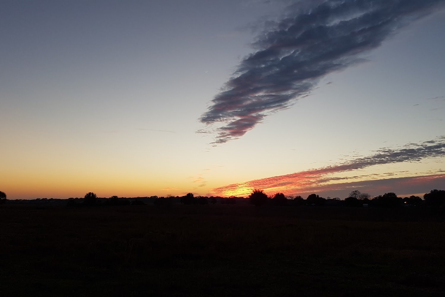 Adopt-A-Horse, Ltd., Inc.