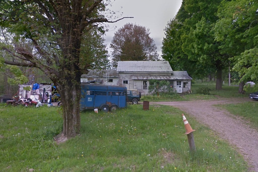 Multiple Purrsonalities