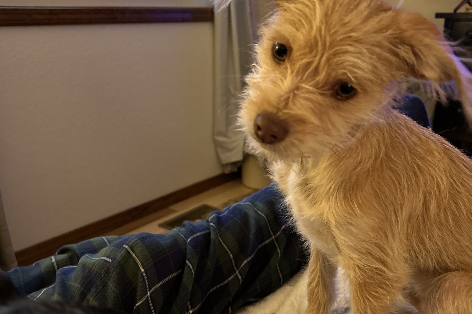 Snake River Veterinary Hospital