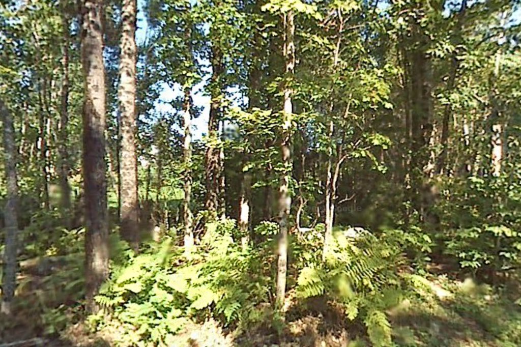 Meadow Wood Animal Clinic