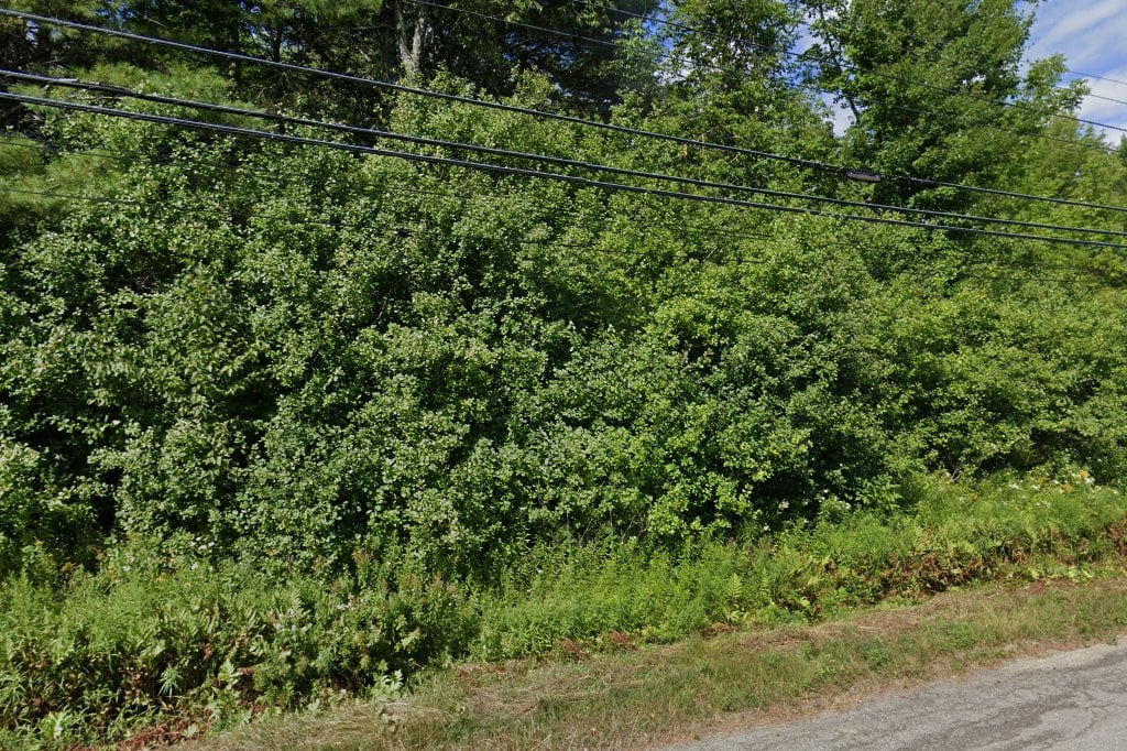 Little River Veterinary Hospital