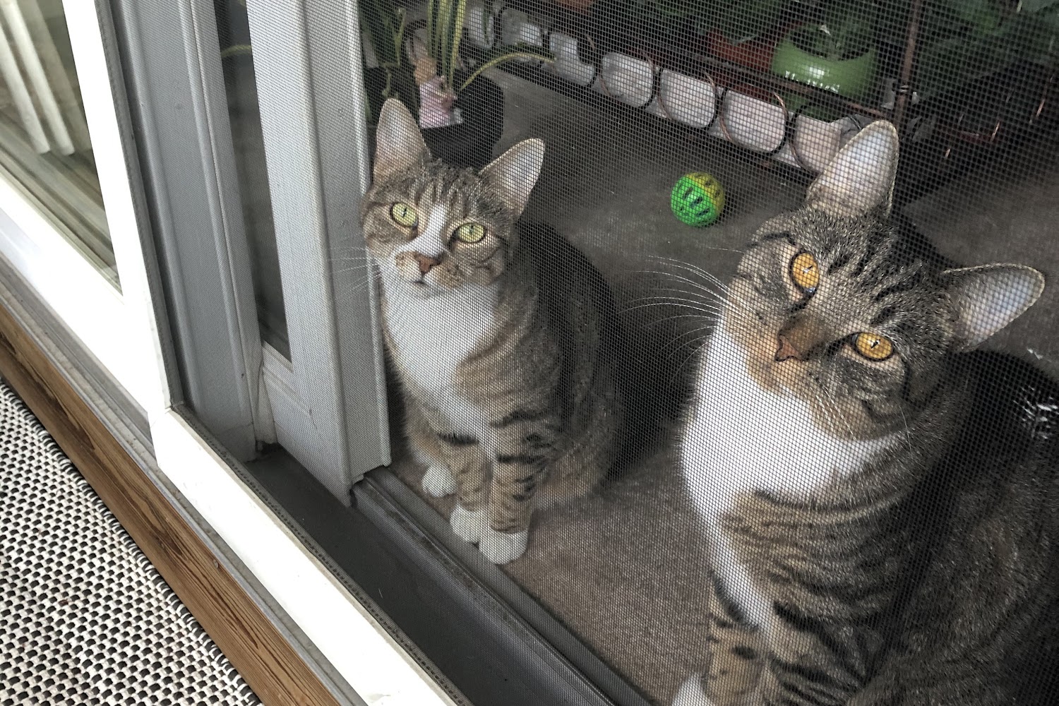 Pine Point Animal Hospital