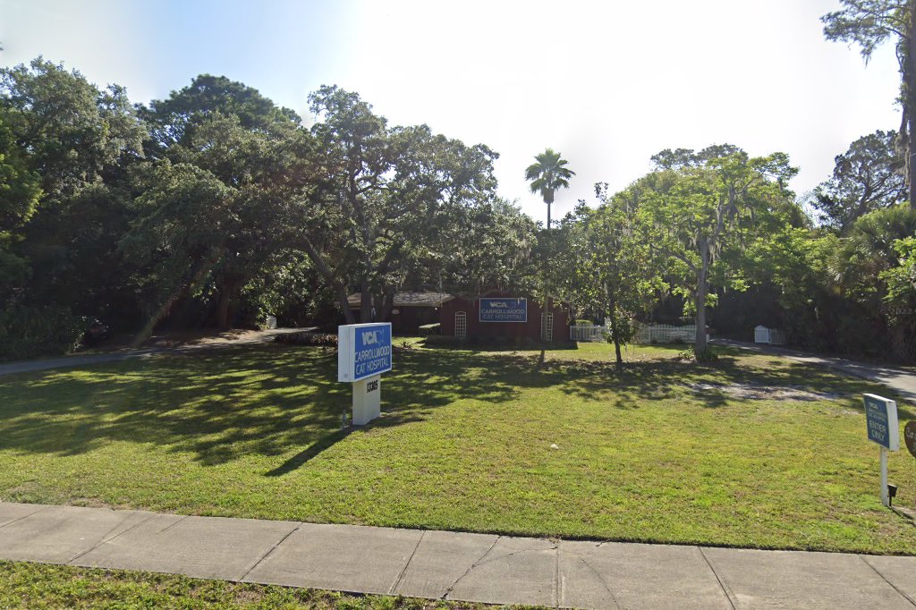 VCA Carrollwood Cat Hospital