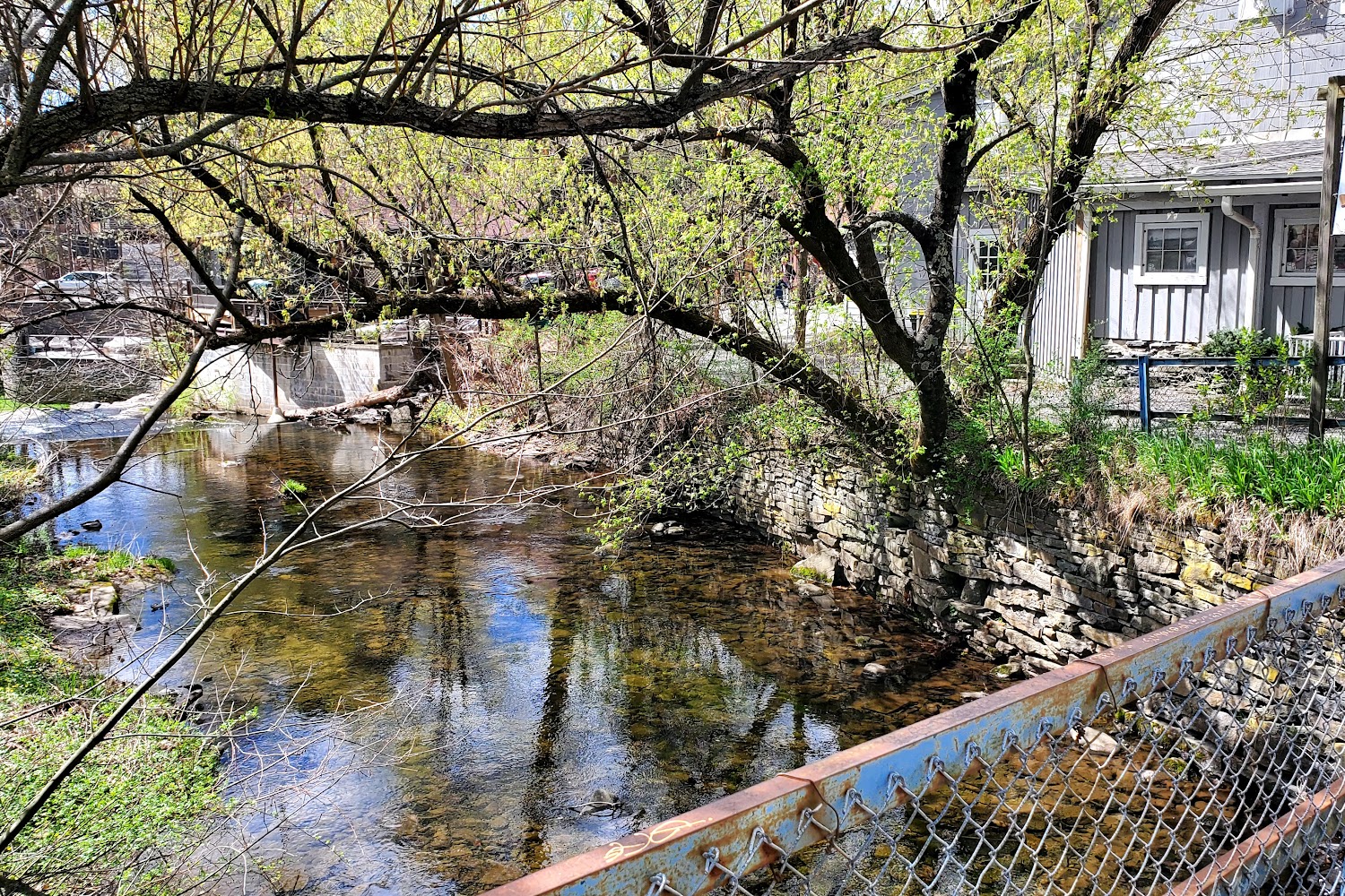 Woodstock Farm Animal Sanctuary