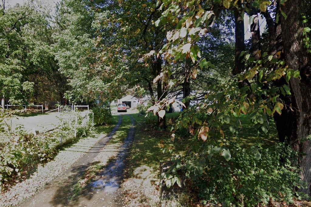 Greyhounds As Companions Inc