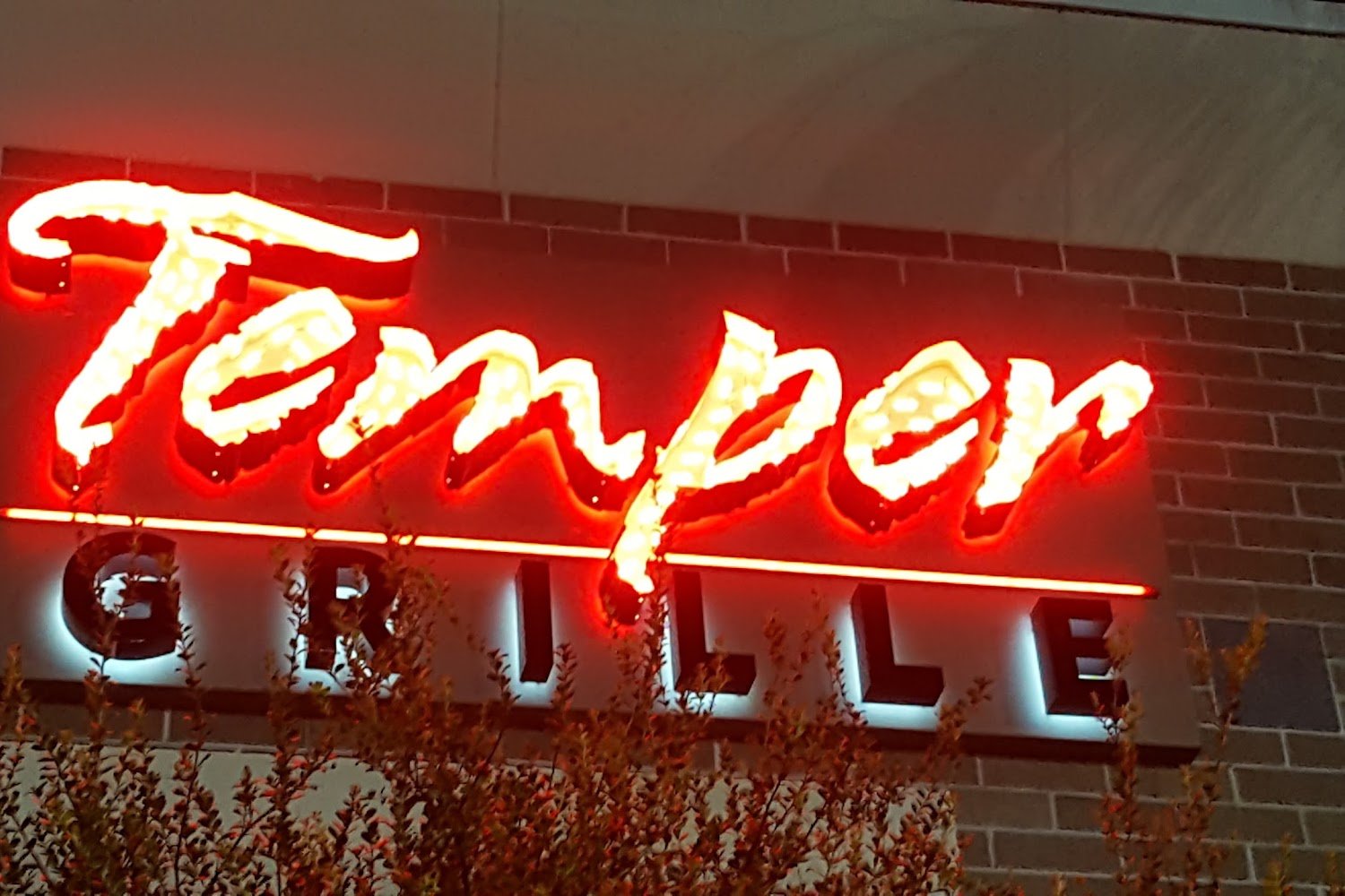 Chesed Dog and Cat Rescue