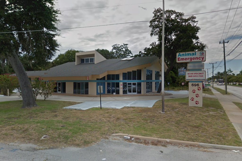 Volusia Animal Emergency Hospital