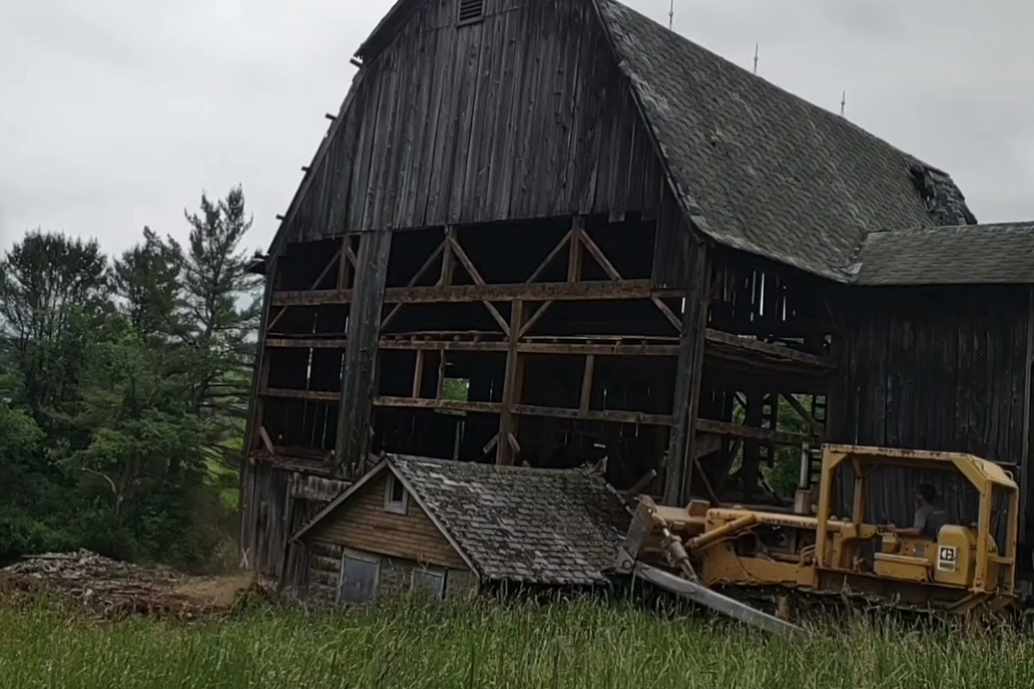 Horse Education and Rescue Alliance of the United States