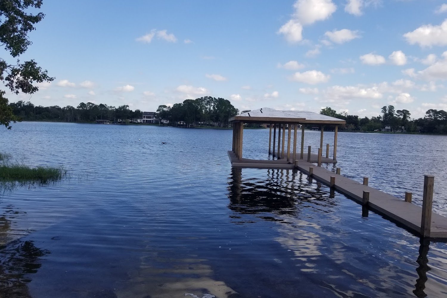 Room for One More Pet Rescue