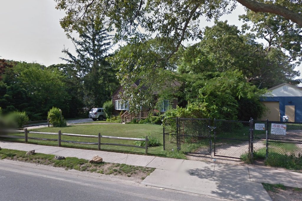 English Springer Spaniel Rescue