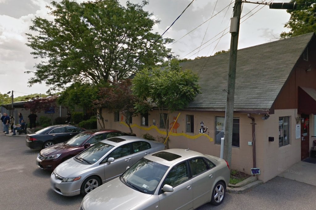 League For Animal Protection