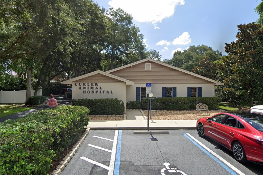 Curlew Animal Hospital
