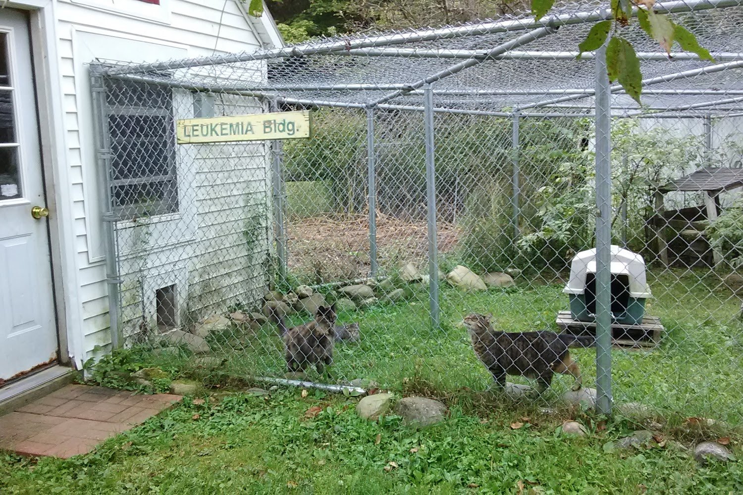 Estherville Animal Shelter