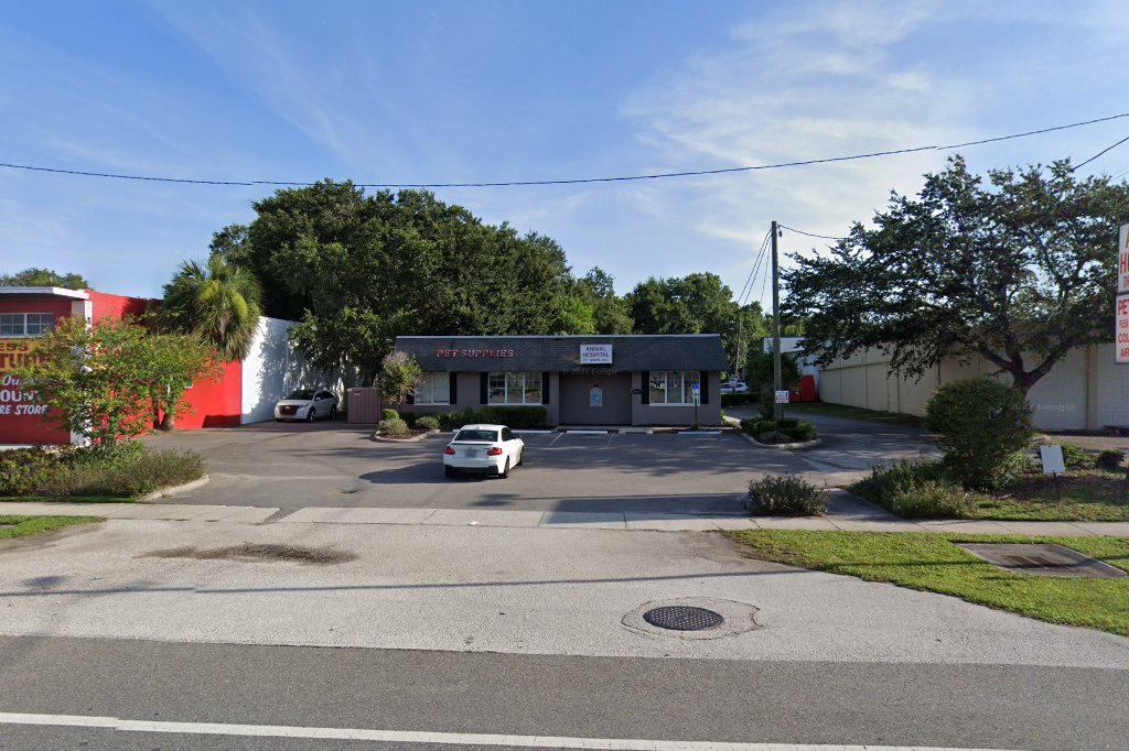 Animal Hospital of Tampa