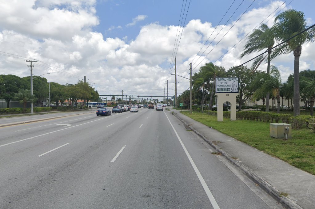 Animal Hospital of the Palm Beaches