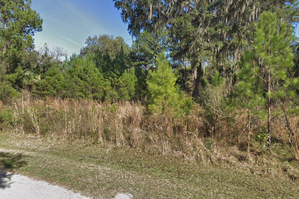 Hernando County Animal Control