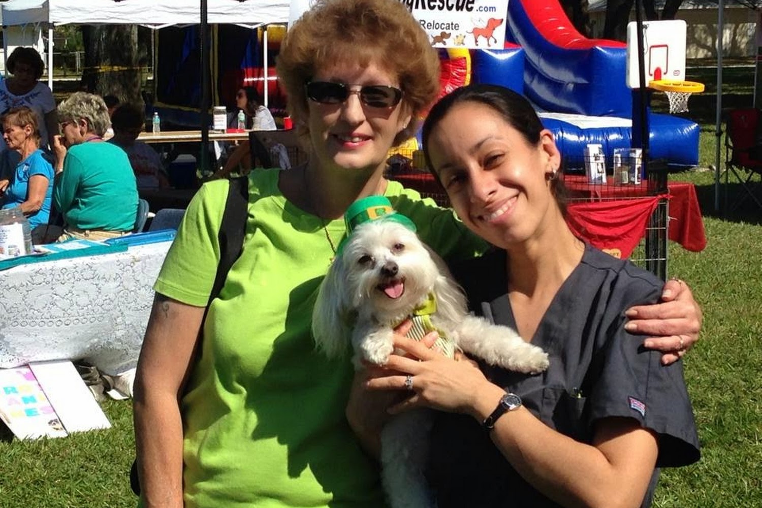 Harborside Animal Hospital