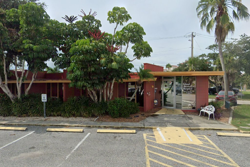 Island Animal Hospital of Venice