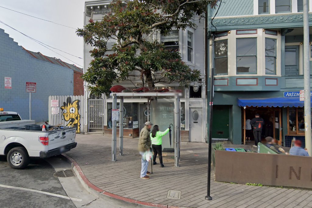 All Animals Emergency Hospital