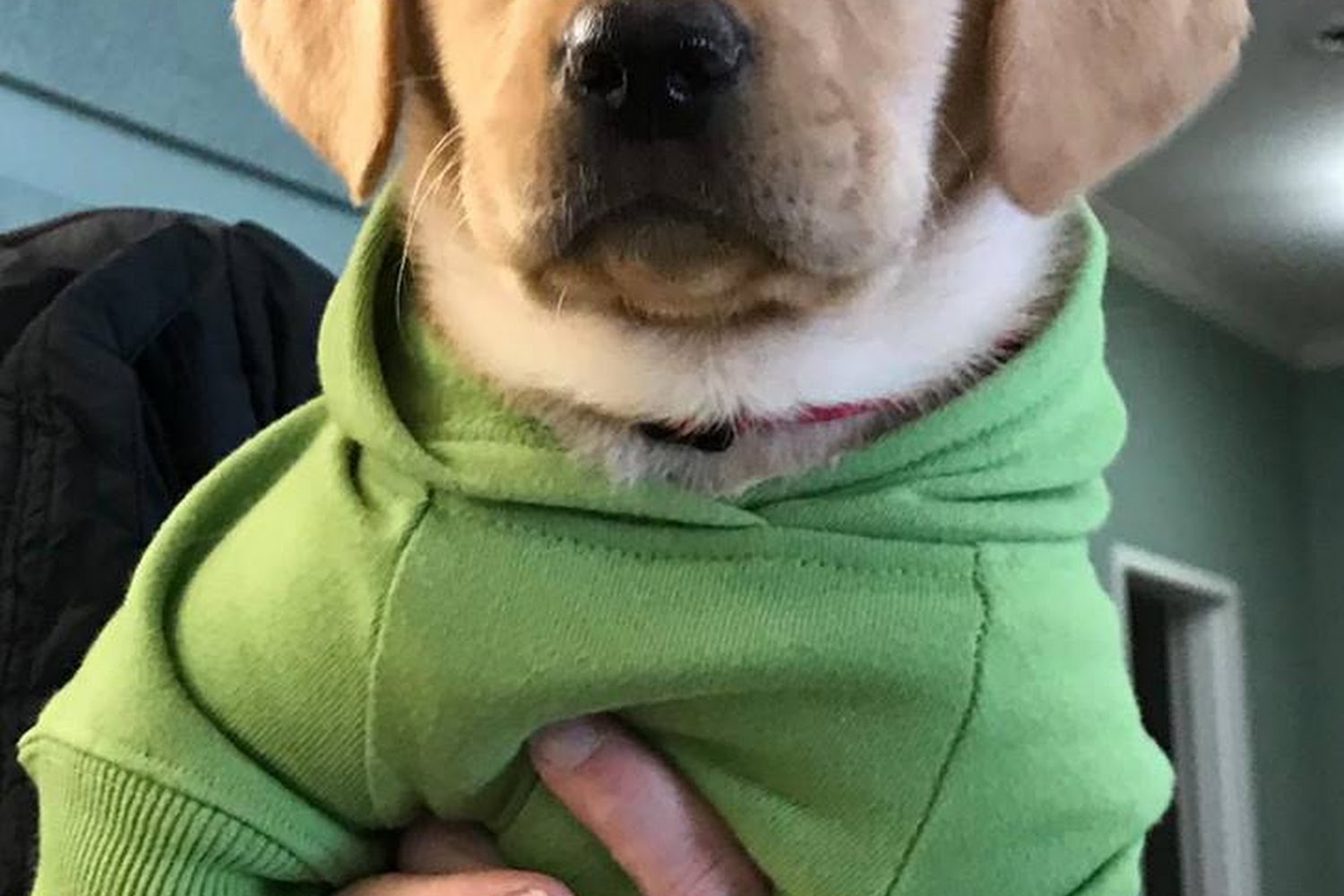 Lucerne Veterinary Hospital