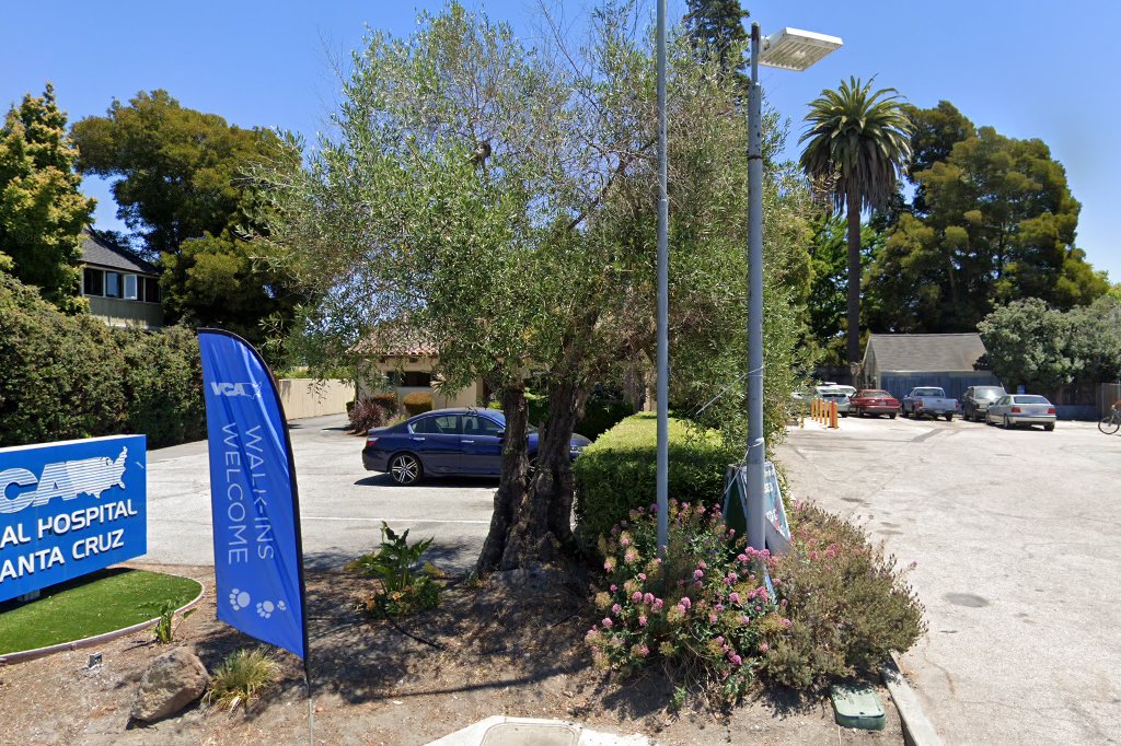 VCA Animal Hospital of Santa Cruz