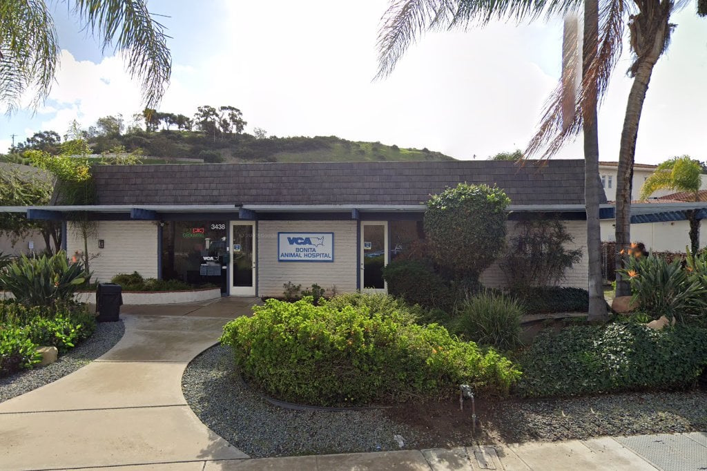 A Cat & Dog Emergency