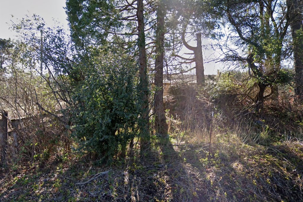 Family Animal Hospital