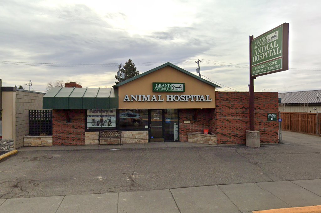 Grand Avenue Animal Hospital