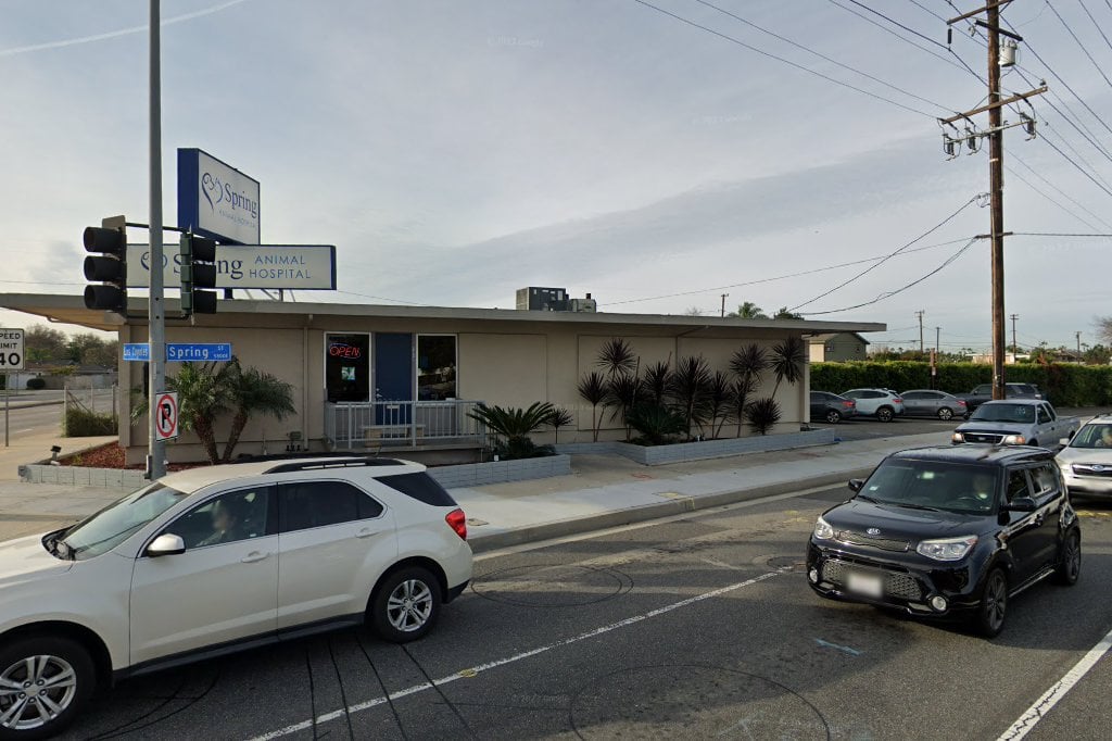 Long Beach Affordable Animal Hospital