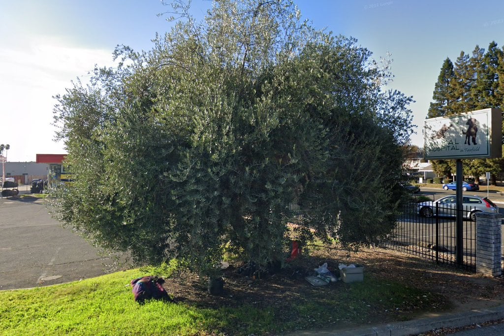 Animal Hospital in Fairfield