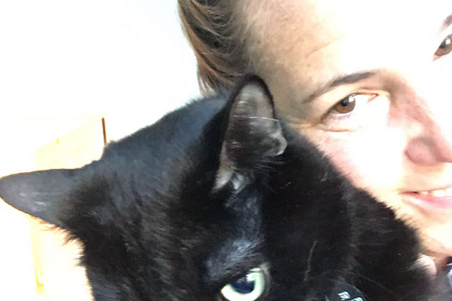 A Walk in the Park Pet Care