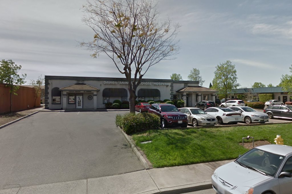 Davies Animal Medical Hospital