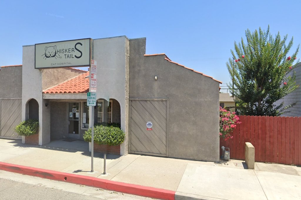 Whiskers To Tails Cat Hospital