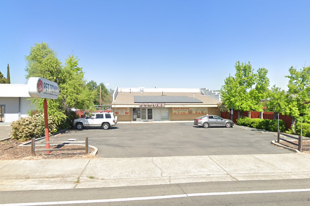 Allcats Veterinary Hospital