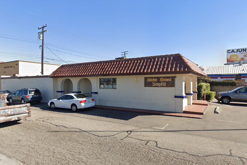 Adobe Animal Hospital