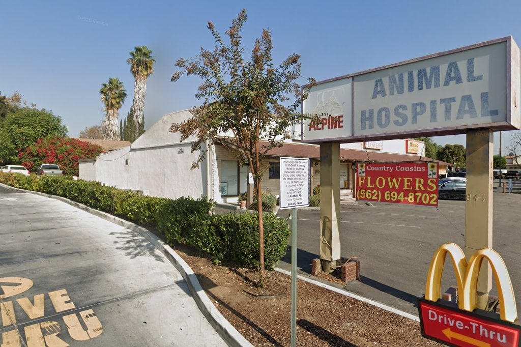 Alpine Animal Hospital