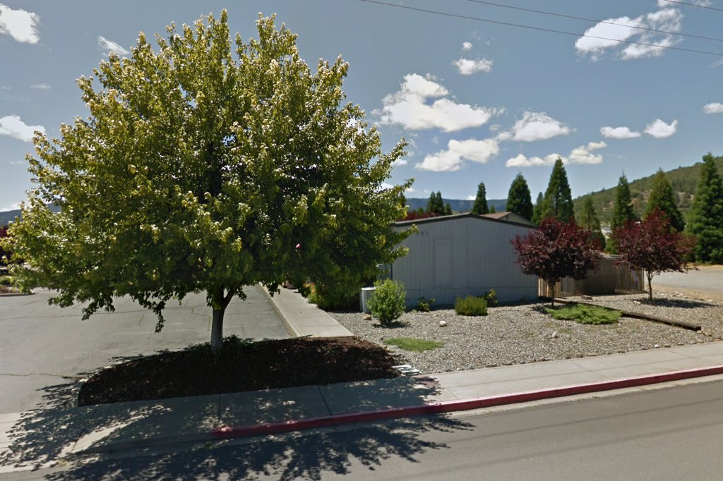 American Veterinary Hospital