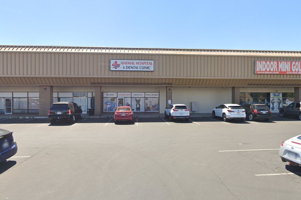 Animal Hospital & Bird Clinic